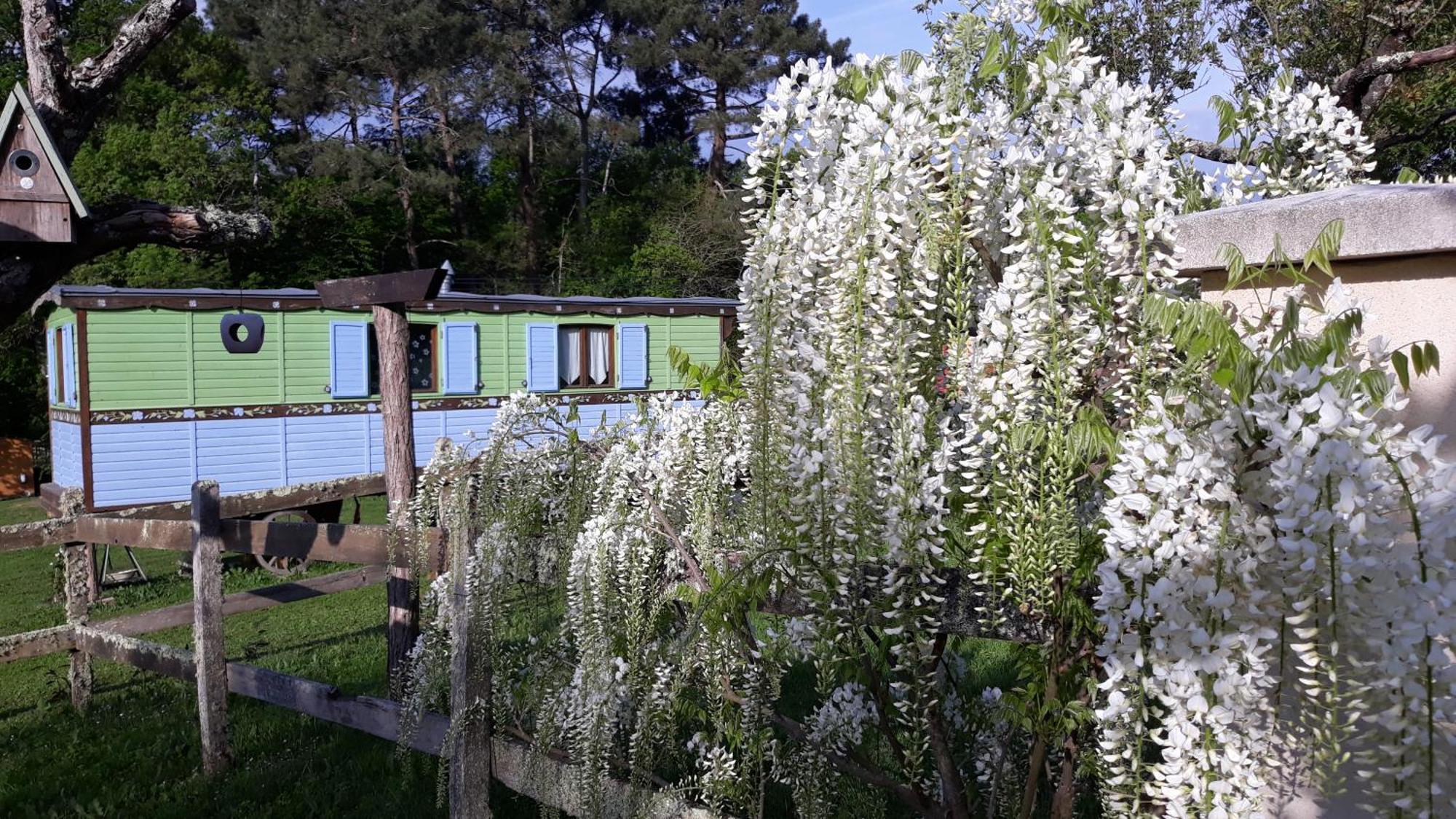 Roulotte Fleur Des Champs Villa Sigalens Bagian luar foto